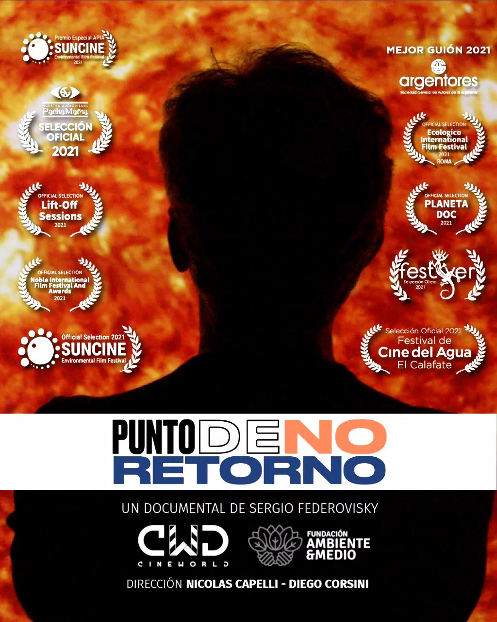 poster de la película